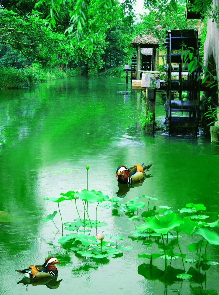 Phong cảnh sơn thủy hữu tình MHT2-051